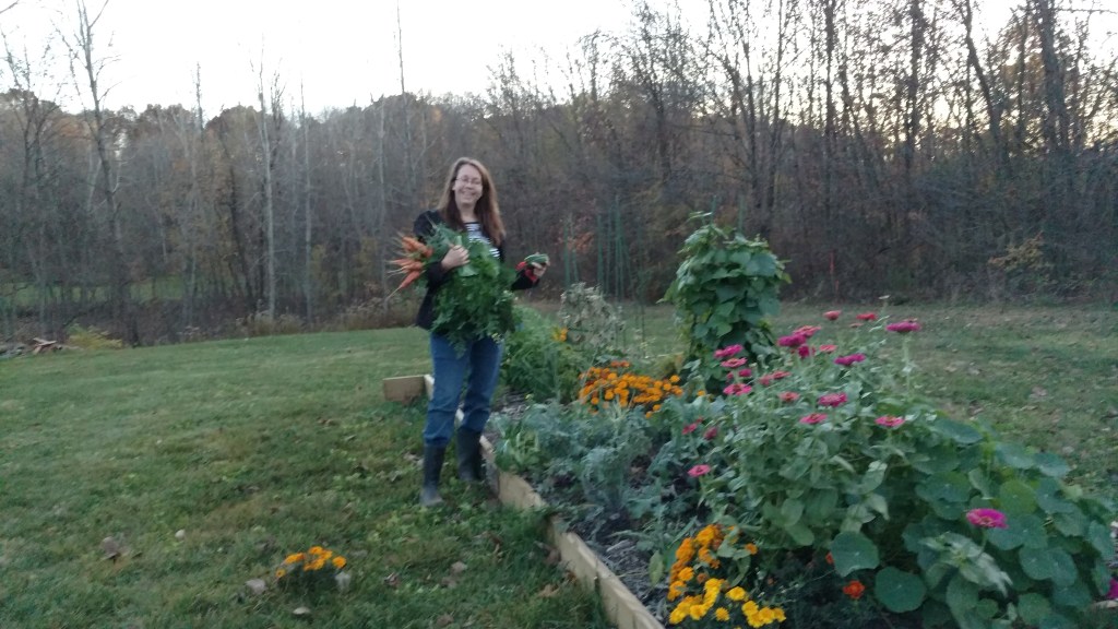 Homesteading: LIVING FREE